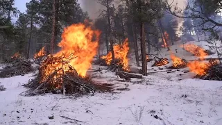 Changing snowfall makes it harder to fight fire with fire