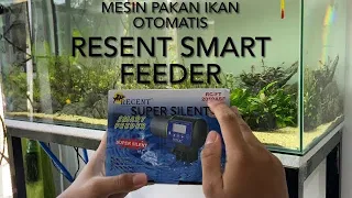 MESIN PAKAN IKAN OTOMATIS | REVIEW DAN SETTING AUTO FEEDER AQUARIUM RECENT FOOD TIMER RC FT