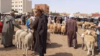 اليوم من سوق الغنم سيدي يحي وجدة  مع ثمن حولي العيد الأضحى بمدينة وجدة 2024