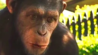 César Ataca Douglas Hunsiker | Planeta dos Macacos: A Origem (2011) DUBLADO HD