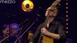 Avishai Cohen Trio - Philharmonie de Paris - Mezzo 25