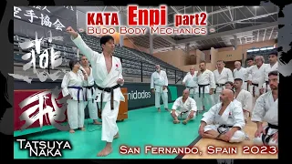 Enpi EP2 Preview:  Tatsuya Naka Sensei's Budo Body Mechanics