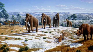 New World Pleistocene extinctions | Wikipedia audio article