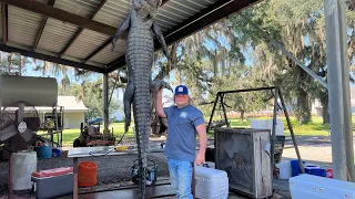 Part 2 Alligator catch and cook!!