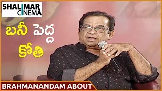 Brahmanandam About  Allu Arjun  || Sarrainodu Movie  Interview || Rakul Preet Singh