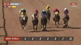 Live Hippodrome « CASABLANCA » | Courses du « 15/04/2024 »