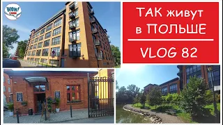 This is how people live in Poland | Interesting  Vlog of expats about life in Poland #82