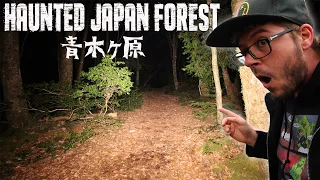 HAUNTED JAPANESE FOREST AT NIGHT (3AM CHALLENGE) | AOKIGAHARA 青木ヶ原