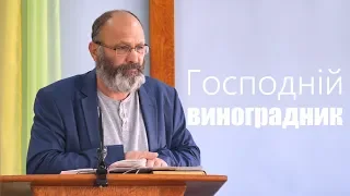Господній виноградник - Микола Витвицький