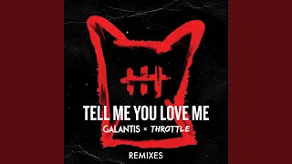 Tell Me You Love Me (DropGun Remix)