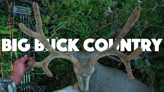 Big Buck Country: A High Country Archery Mule Deer Hunt