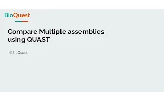 Compare Multiple assemblies using QUAST