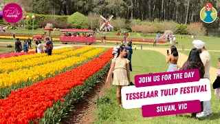 Tesselaar Tulip Festival Review