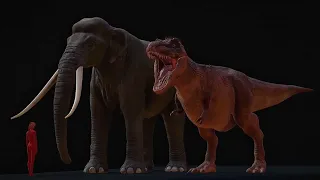 Tyrannosaurus Rex vs Palaeoloxodon Namadicus (biggest elephant ever) size comparison