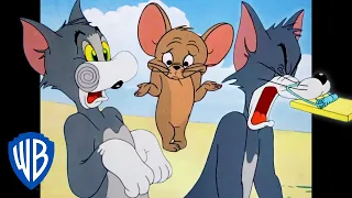 Tom y Jerry en Español | Tom lo pilla 💥 | WB Kids