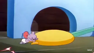 Tom and Jerry Cartoon Little School Mouse