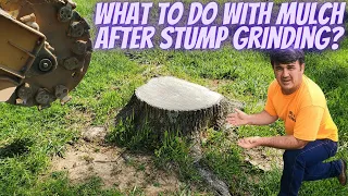 What to do with mulch after stump grinding?