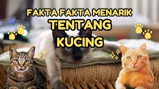 fakta unik kucing