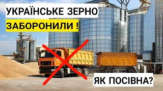 Чому заборонили❌ українське зерно? Експорт зерна в Польщу😳 Посівна під загрозою