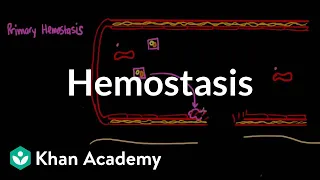 Hemostasis | Advanced hematologic system physiology | Health & Medicine | Khan Academy