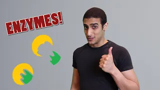 Enzymes  شرح بالعربي