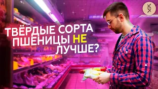 Твёрдые и мягкие СОРТА: какие МАКАРОНЫ лучше?