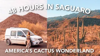 48 HOURS in SAGUARO NATIONAL PARK (Arizona road trip)