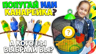 🌺 Какую ПТИЦУ завести дома в клетке? 🌺 Волнистый ПОПУГАЙ или КАНАРЕЙКА? 🌺