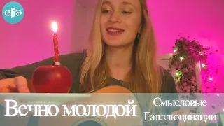 Вечно Молодой | Смысловые Галлюцинации и С Днём рождения Меня🎂