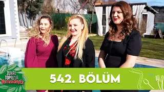 Zuhal Topal'la Yemekteyiz 542. Bölüm @Yemekteyiz