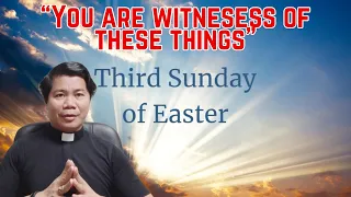 HOMILY for the Third Sunday of Easter Year B (April 14, 2024)