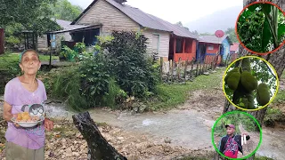 Aventura Bajo lluvia en Rancho Ambrocio, La vida del campo