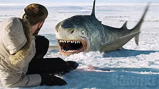 ARCTIC SHARK | Film Complet en Français | Requins, Sci-Fi