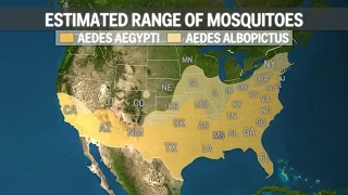 Animated map of Zika's spread