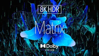 8K HDR Digital Art｜Matrix ｜ Dolby Vision™｜ Micro LED | Vision Pro