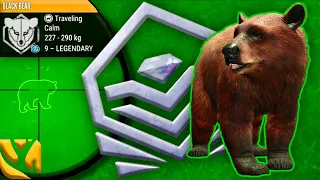 MAX WEIGHT SUPER RARE DIAMOND CINNAMON BLACK BEAR TAKEN AT NIGHT IN THE HUNTER CALL OF THE WILD!