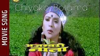 Chiya Ko Botaima - Ajambari Nata Nepali Movie Song || Niruta Singh