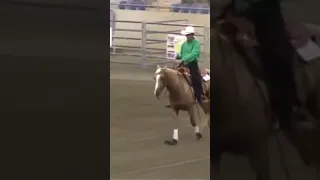 Reining accident