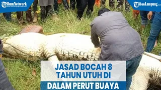 Jasad Bocah 8 Tahun Utuh di Dalam Perut Buaya | @TRIBUNLAMPUNGNEWSVIDEO