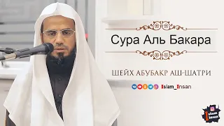 Абу Бакр Аш Шатри Сура Аль Бакара #2 ❘ Abu Baker Al Shatiri  Al-Baqarah