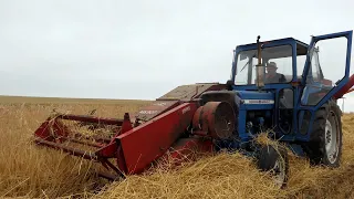 Ford 5000 in the field harvesting barley w/ JF MS 707 Harvester | Danish Harvest 2022