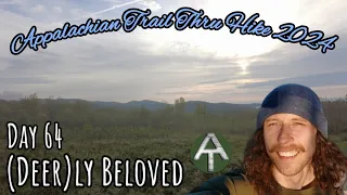 Day 64 | Front Royal! | Appalachian Trail Thru Hike 2024