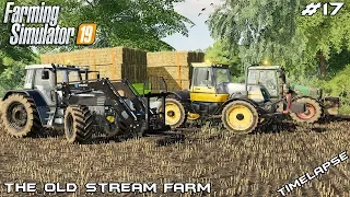 Harvest, baling & carting straw | Animals on The Old Stream Farm | Farming Simulator 19 | Episode 17