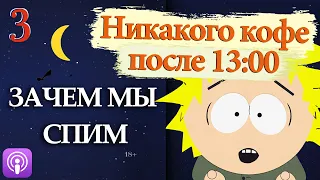 🎙第20 Мелатонин бесполезен. Пауки под кофеином. Зачем мы спим (часть 3)