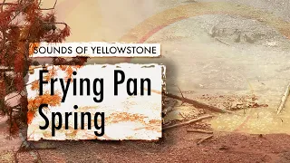 Frying Pan Spring — ASMR, Sleep, Concentration (Sounds of Yellowstone)