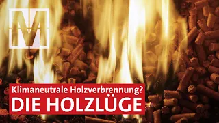 Klimakiller Holzverbrennung