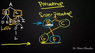 SYNTAX-11: Structural Relations (Precedence)