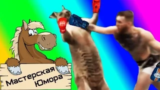 🐎 КЕНГУРУ ПРОТИВ БОЙЦА UFC (18+) | Мастерская Юмора