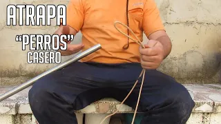 ATRAPA "PERROS" casero