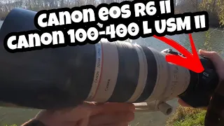 Canon EOS R6 Mark II & EF 100-400mm f/4.5-5.6L IS II USM / WILDLIFE PHOTOGRAPHIE